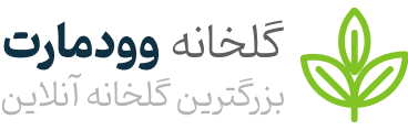 دمو یازدهم